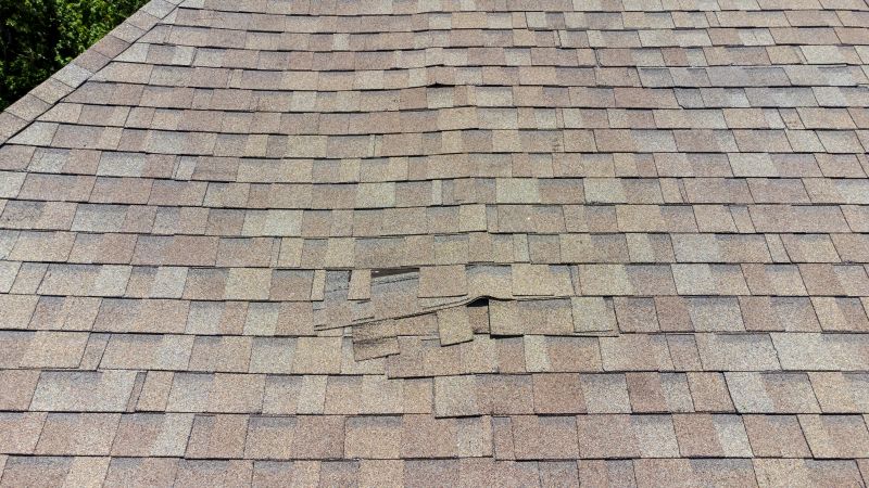 Asphalt Roof Inspection in Moseley, VA