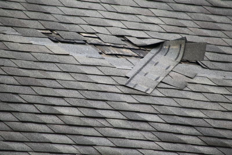 Asphalt Roof Leak Repair in Kents Store, VA