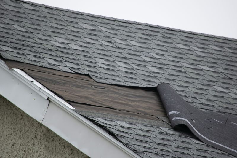 Asphalt Shingles Repair in Chesterfield County, VA