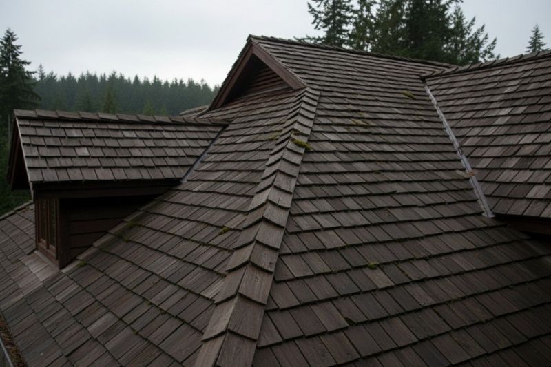 Cedar Shake Roof Replacement in Powhatan, VA