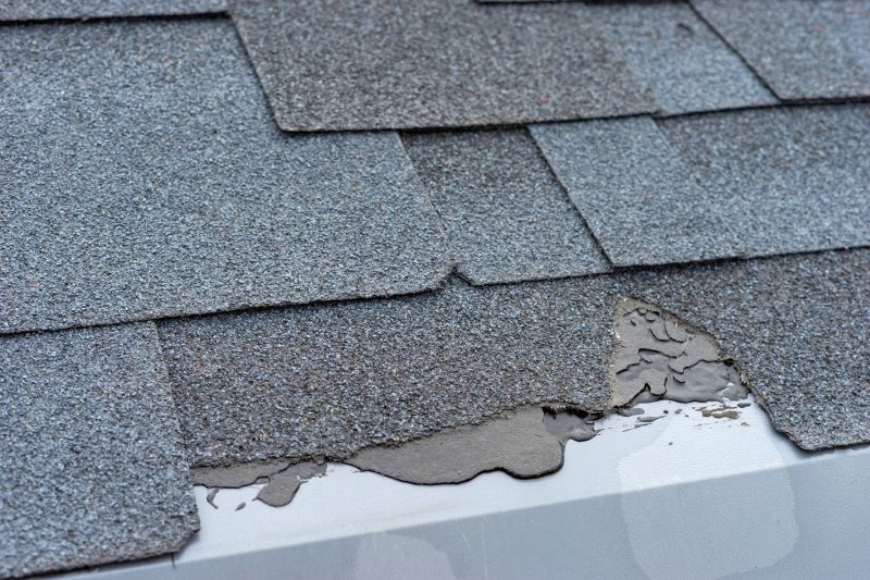 Damaged Roof Repair in Kents Store, VA