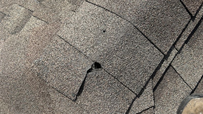 Damaged Roof Repair in Powhatan, VA