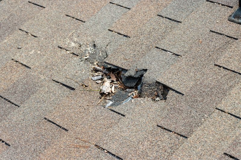 Damaged Roof Replacement in Amelia Court House, VA