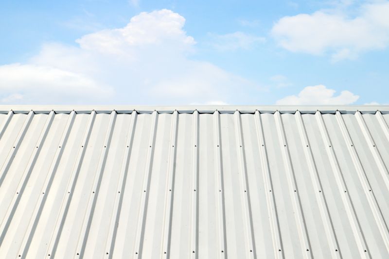 Metal Roof Coating Service in Powhatan, VA