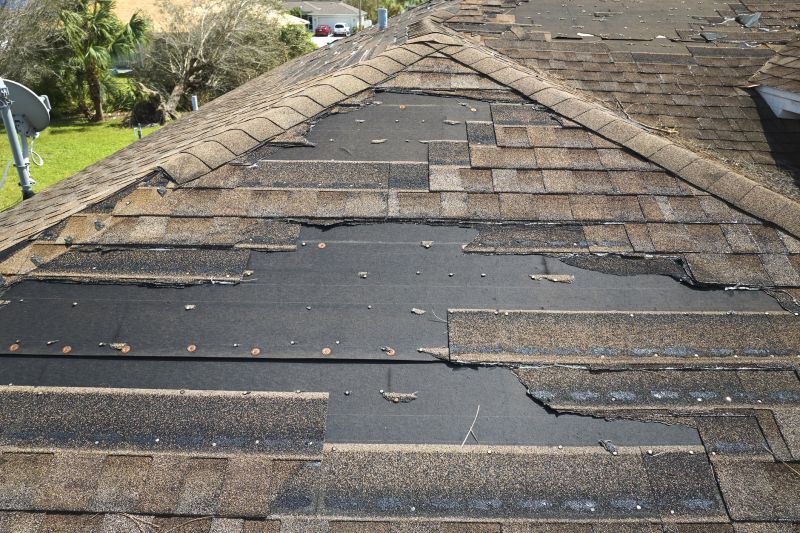 Roof Hail Damage Repair in Powhatan, VA