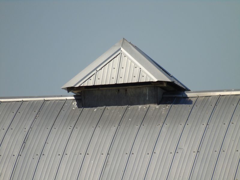 Tin Roof Installation in Kents Store, VA