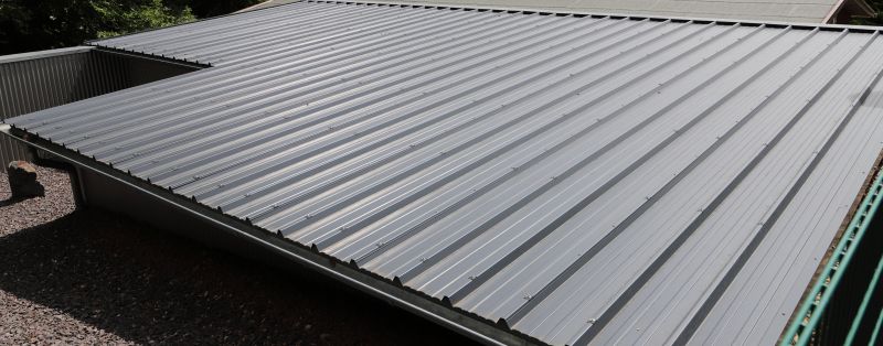 Tin Roof Installation in Mineral, VA